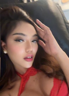 Goddess Ava - Acompañantes transexual in Singapore Photo 2 of 24