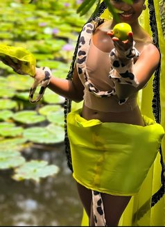 Goddess Hynes - escort in Nairobi Photo 14 of 14