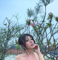 Goddess Q - Acompañantes transexual in Jakarta