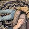 goddesspinaki - Acompañantes transexual in New Delhi Photo 2 of 19