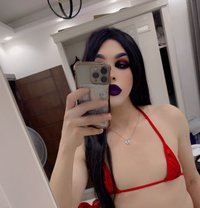 Gogo - Transsexual escort agency in Cairo