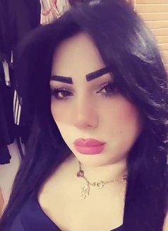 Gogo Sy - escort in Damascus Photo 3 of 4