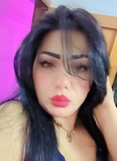 Gogo Sy - escort in Damascus Photo 4 of 4