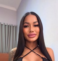 Golden Cherry - Transsexual escort in Amsterdam