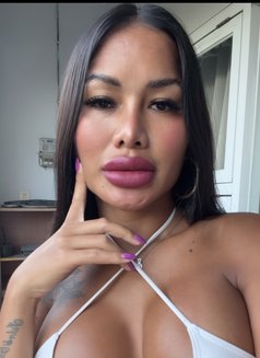 Golden Cherry - Transsexual escort in Phuket Photo 18 of 23