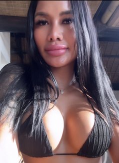 Golden Cherry sexy big lips and ball ass - Acompañantes transexual in Bali Photo 3 of 28