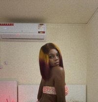 Golden - escort in Doha