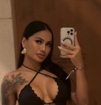 Goldencherry - Transsexual escort in Amsterdam