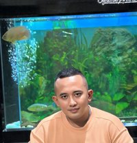 Good Massage Balines - Male escort in Johor Bahru