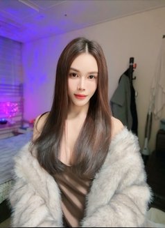 Ladyboy Big cock in Seoul Gangnam now - Acompañantes transexual in Seoul Photo 17 of 20