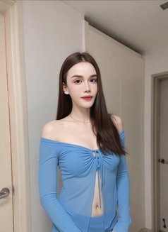 Big Dick in Seoul Gangnam now ! - Transsexual escort in Seoul Photo 23 of 23