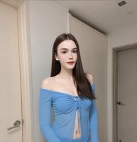 Big Dick in Seoul Gangnam now ! - Transsexual escort in Seoul