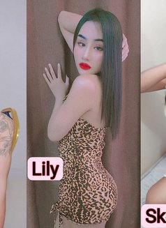 Good service new lady boy - escort in Al Sohar Photo 3 of 3