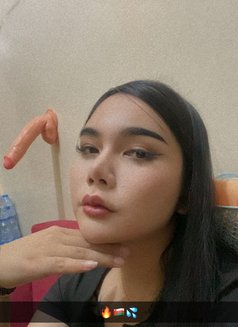 Good service new lady boy - escort in Al Sohar Photo 5 of 8