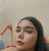 Good service new lady boy - escort in Al Sohar