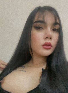Good service new lady boy - escort in Al Sohar Photo 6 of 8