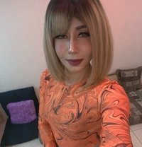 Good time happy - Transsexual escort in Bruges