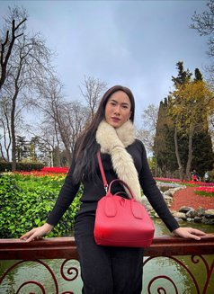 G🅾🅾🅳 🆃🅾🅿 & 🅲🆄🅼 🇹🇭 - Acompañantes transexual in İstanbul Photo 24 of 30