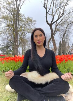 G🅾🅾🅳 🆃🅾🅿 & 🅲🆄🅼 🇹🇭 - Acompañantes transexual in İstanbul Photo 26 of 30