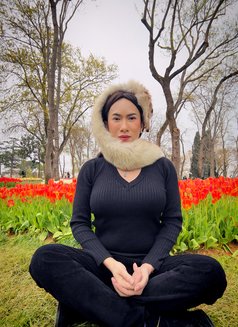 G🅾🅾🅳 🆃🅾🅿 & 🅲🆄🅼 🇹🇭 - Acompañantes transexual in İstanbul Photo 28 of 30