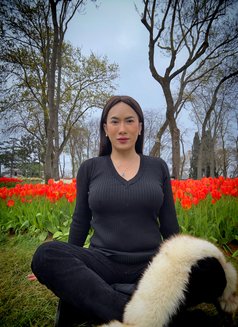 G🅾🅾🅳 🆃🅾🅿 & 🅲🆄🅼 🇹🇭 - Acompañantes transexual in İstanbul Photo 29 of 30