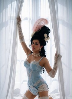 Gorgeous Amira 🇧🇾 - Transsexual escort in Khobar Photo 12 of 14
