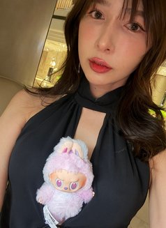 Gorgeous Janice - escort in Taipei Photo 5 of 7