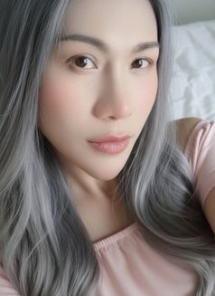 Gorgeous Ts Kayla - Acompañantes transexual in Pyeongtaek Photo 6 of 6