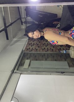 Gorgeouss (Cam/Meet) - Acompañantes transexual in Manila Photo 3 of 9