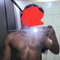 Gourav at Your Service - Acompañantes masculino in Gurgaon