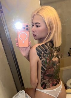 Grace Available at Koza - escort in Pattaya Photo 6 of 6