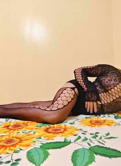 Grace - Transsexual escort in Quezon Photo 6 of 7