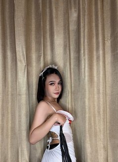 Michell ladyboy Thailand 🇹🇭🇧🇭 - Acompañantes transexual in Al Manama Photo 7 of 19