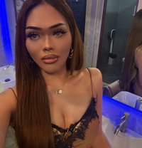 Grace - Agencia de acompañantes transexuales in Phuket