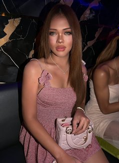 Grace - Agencia de acompañantes transexuales in Phuket Photo 3 of 3