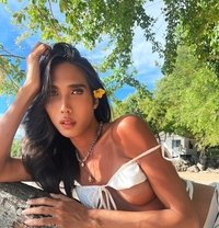 Grace Zaya - Transsexual escort in Bangkok