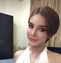 GraphicBoth69‍🏳️‍⚧️🇹🇭 - Acompañantes transexual in Bangkok