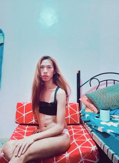 Greta - Acompañantes transexual in Manila Photo 2 of 2