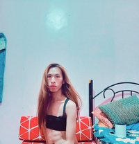 Greta - Acompañantes transexual in Manila