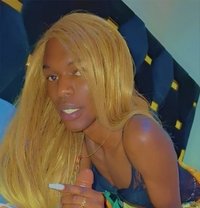 Grisha - Transsexual escort in Nairobi