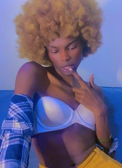 Grisha - Transsexual escort in Nairobi Photo 7 of 7