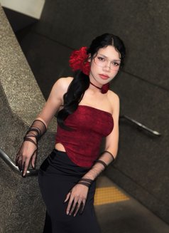 Grxcx Wxphx - Transsexual escort in Bangkok Photo 6 of 9