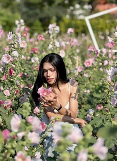 Grxcx Wxphx - Transsexual escort in Bangkok Photo 7 of 9