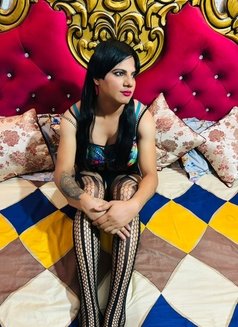 Guddi - Transsexual escort in New Delhi Photo 1 of 6