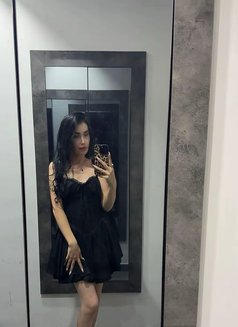 Gül - escort in İstanbul Photo 4 of 8