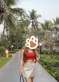 Guna 82207//23444 Independent callgirl - escort in Coimbatore Photo 3 of 7