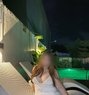 Sanjana - escort in Solapur Photo 1 of 2