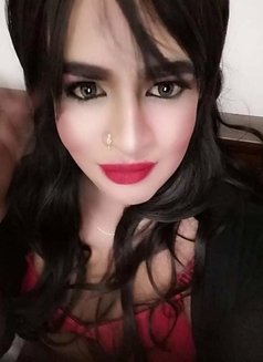Gunuine Shemale Colombo Colombo 4 Today - Transsexual escort in Colombo Photo 16 of 27