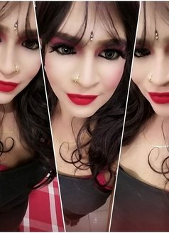 Gunuine Shemale Colombo Colombo 4 Today - Transsexual escort in Colombo Photo 17 of 27