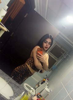Gus’s Thawatchi - Transsexual escort in Al Manama Photo 9 of 12
